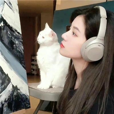 罗罗大冒险